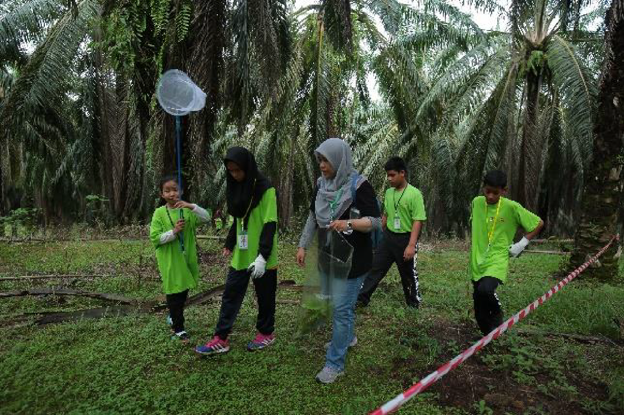 Participants and facilitator carrying out activity in the oil palm plantation