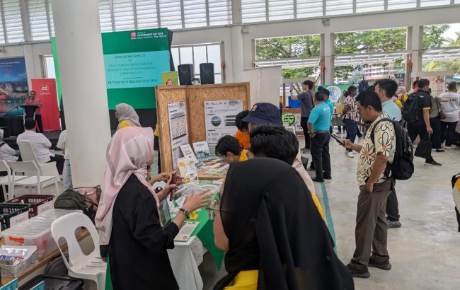 UKMYSD WORLD ENVIRONMENT DAY
